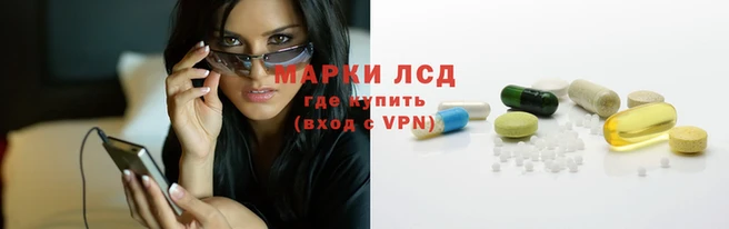 амф Алзамай