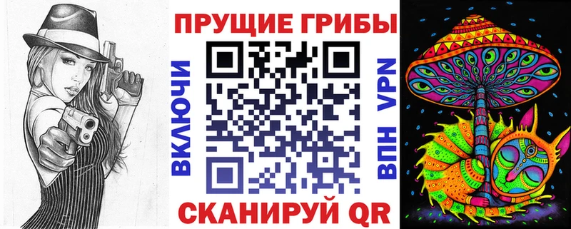 хочу наркоту ОМГ ОМГ вход Псилоцибиновые грибы прущие грибы Курчалой