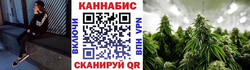 Каннабис сатива наркотики Курчалой